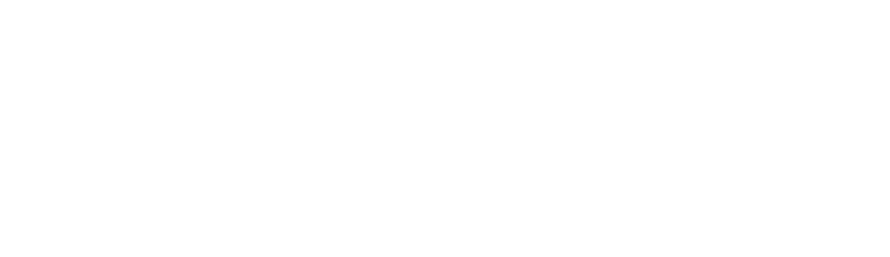 Savas Software